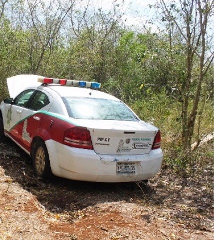 Roban patrulla policíaca y la desmantelan en el monte