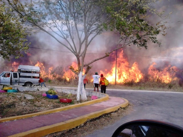 Combaten incendios forestales