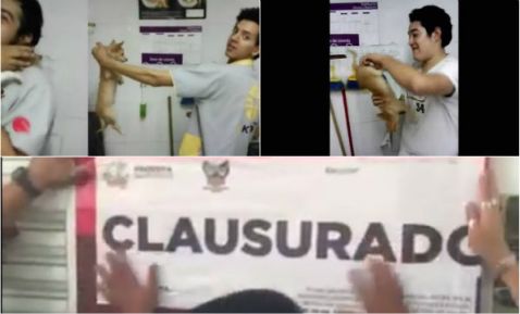 Clausuran Maskota por maltrato animal