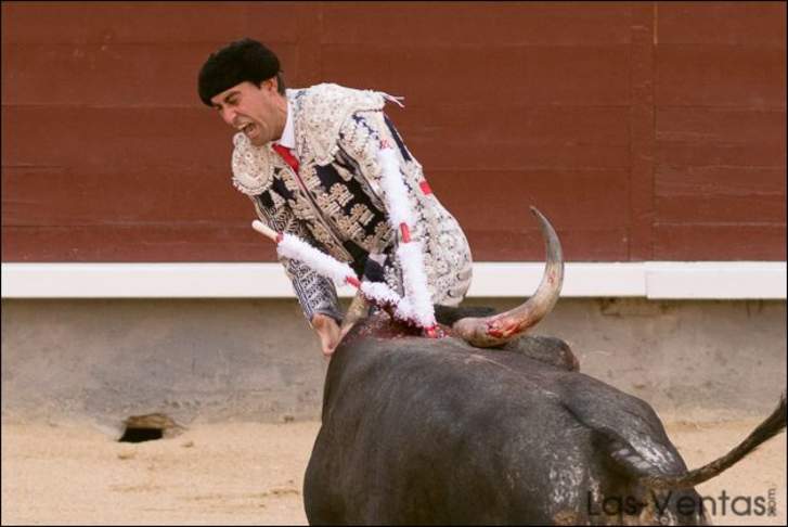 Tras cornada, torero pierde un testículo