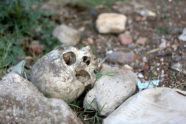 Le presta la lavadora a su vecina y se la devuelven con un cráneo humano