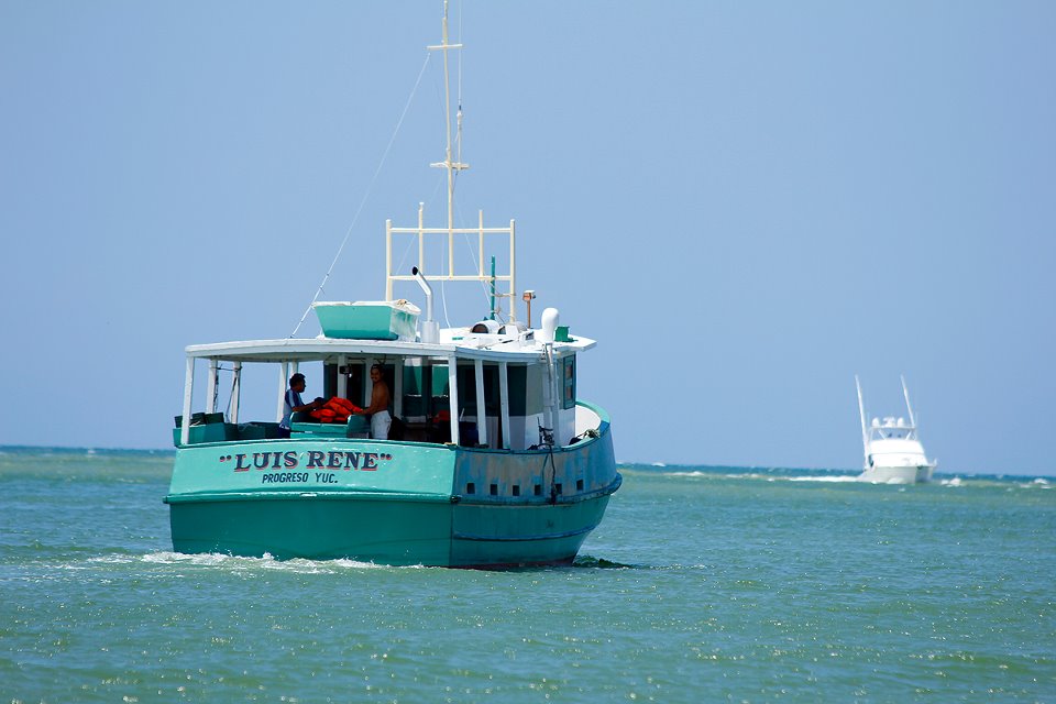 Langosta robada a barcos yucatecos ya está en Quintana Roo