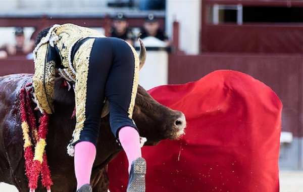 Video: Novillero se luce y luego recibe brutal cornada