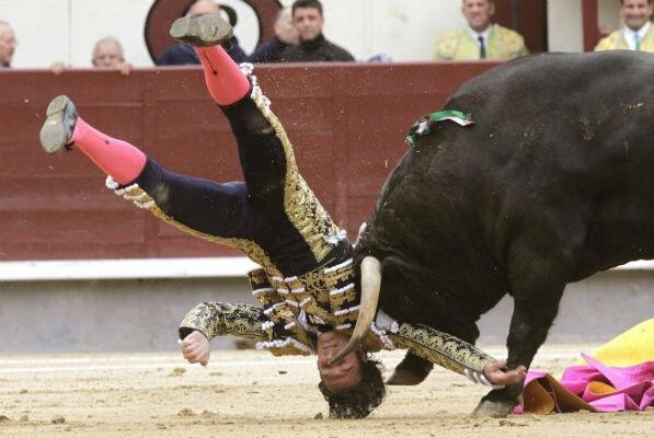 Embisten a ebrio ‘torero’ en corrida yucateca