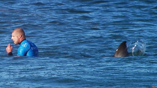 Video: Surfista logra escapar de un tiburón