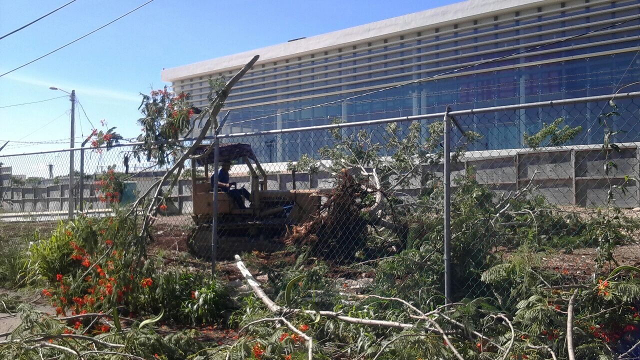 Polémica por ‘limpieza ecológica’ para la construcción de tribunales