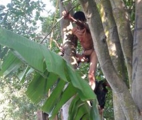 Por una mujer bonita pasa la noche colgado de un árbol, sin ropa