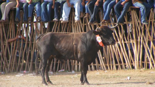 Corrida yucateca se tiñe de sangre… y lodo