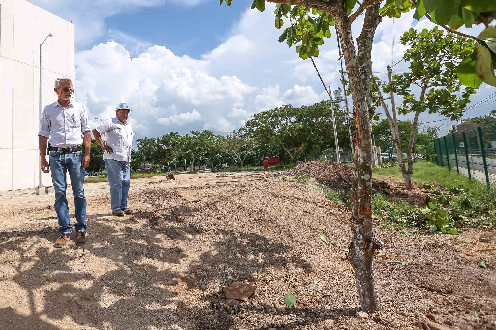 Rescatan árboles de donde será construida segunda etapa del CJOM