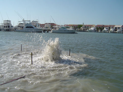 Pescadores rescatan en el mar a una veracruzana