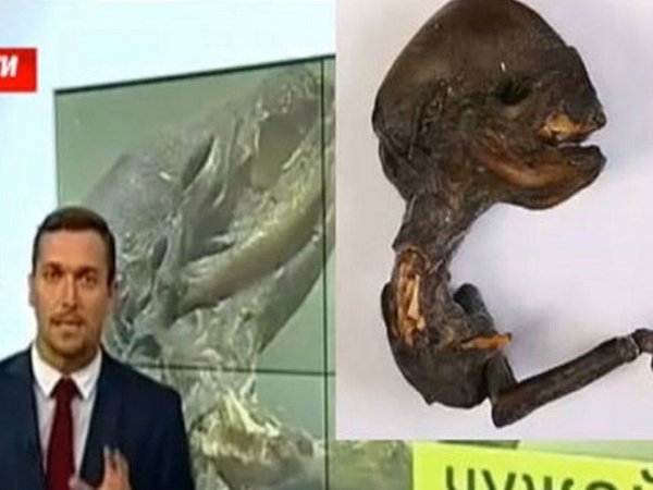 Rusia muestra el cadáver de un alienígena