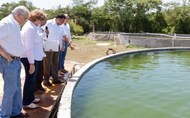 Productores agropecuarios reciben apoyos estatales