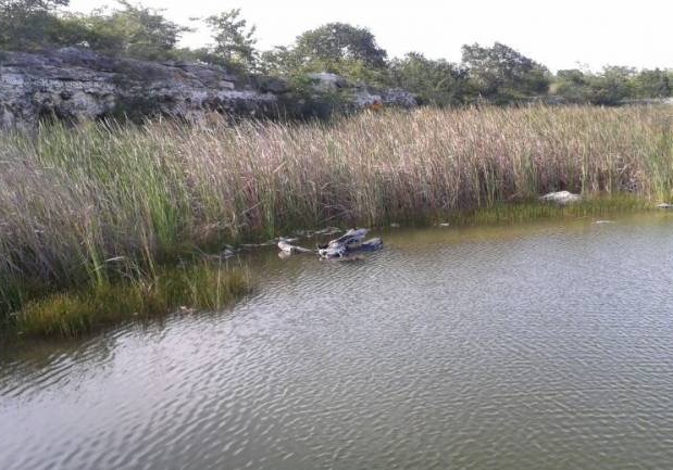 Hallan cuerpo de una joven flotando en una aguada de Umán