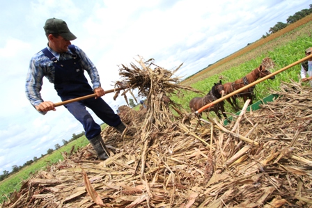 Menonita muere degollado por su máquina agrícola