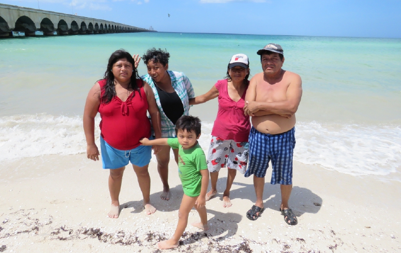 Alertan de tiburones a unos metros de las playas yucatecas