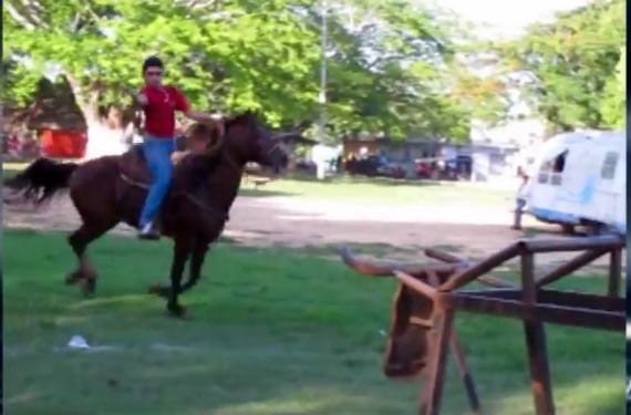 Lanzan en Yucatán versión de torneo de lazo sin ‘destripada de caballos’