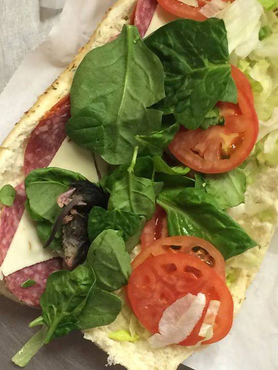 Encuentran rata en un sandwich de Subway