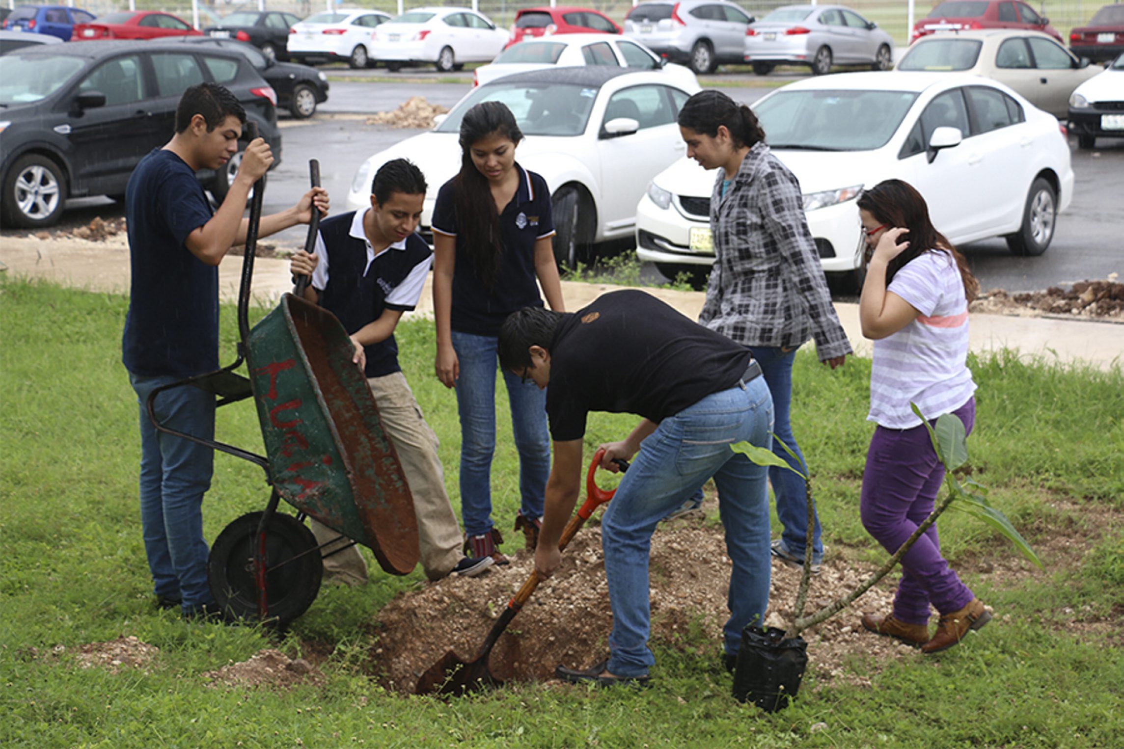 La Uady deja verdes sus campus en Mérida