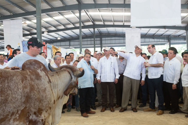 Anuncian tecnificación de 50 mil hectáreas del agro yucateco