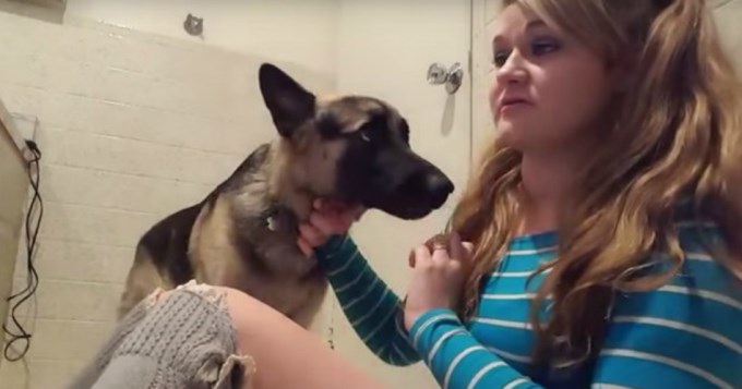 Video: Chica tiene sexo con su perro y lo recomienda ampliamente