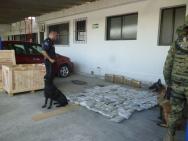 Aseguran 86 kilos de mariguana en empresa de mensajería