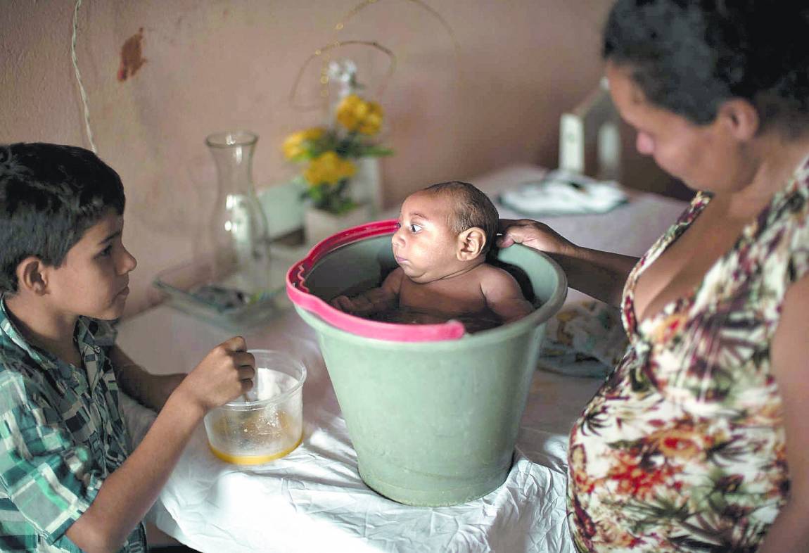 Zika, moderno reductor de cabezas en Latinoamérica; emergencia en Yucatán