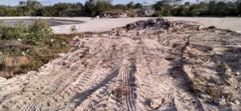 Ambientalistas denuncian devastación en el ‘Tajamar Yucateco’