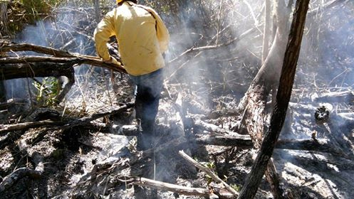 Bajo control el incendio en la reserva El Palmar