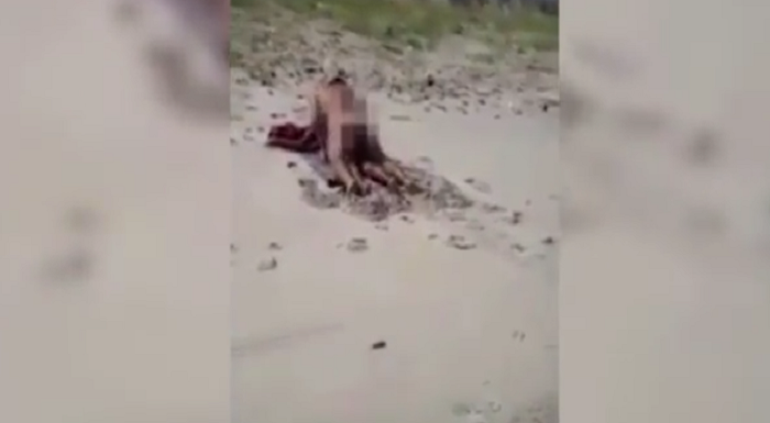 A una pareja le ganan las ganas y lo hacen en una playa pública