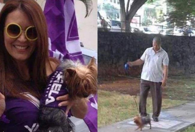 Suspenden a viceministra por ordenar a sus escoltas que paseen a su perro