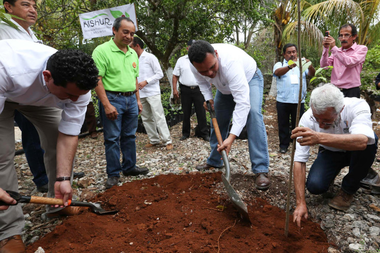 El Gobernador inaugura la primera empresa dedicada a la explotación del ramón