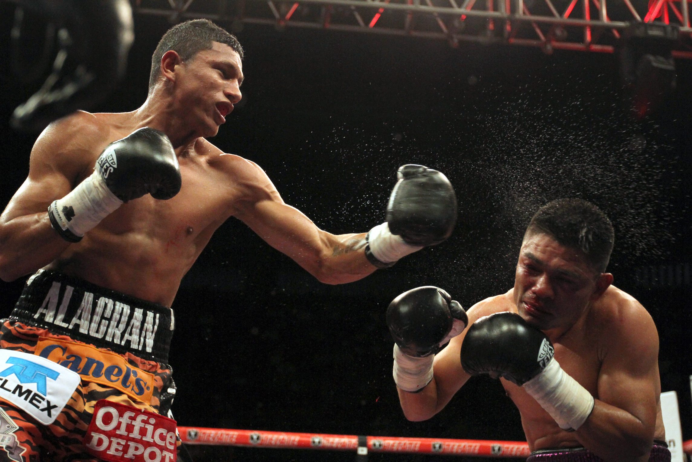 Se frustra pelea del ‘Alacrán’ Berchelt con el boricua ‘Rocky’ Martínez