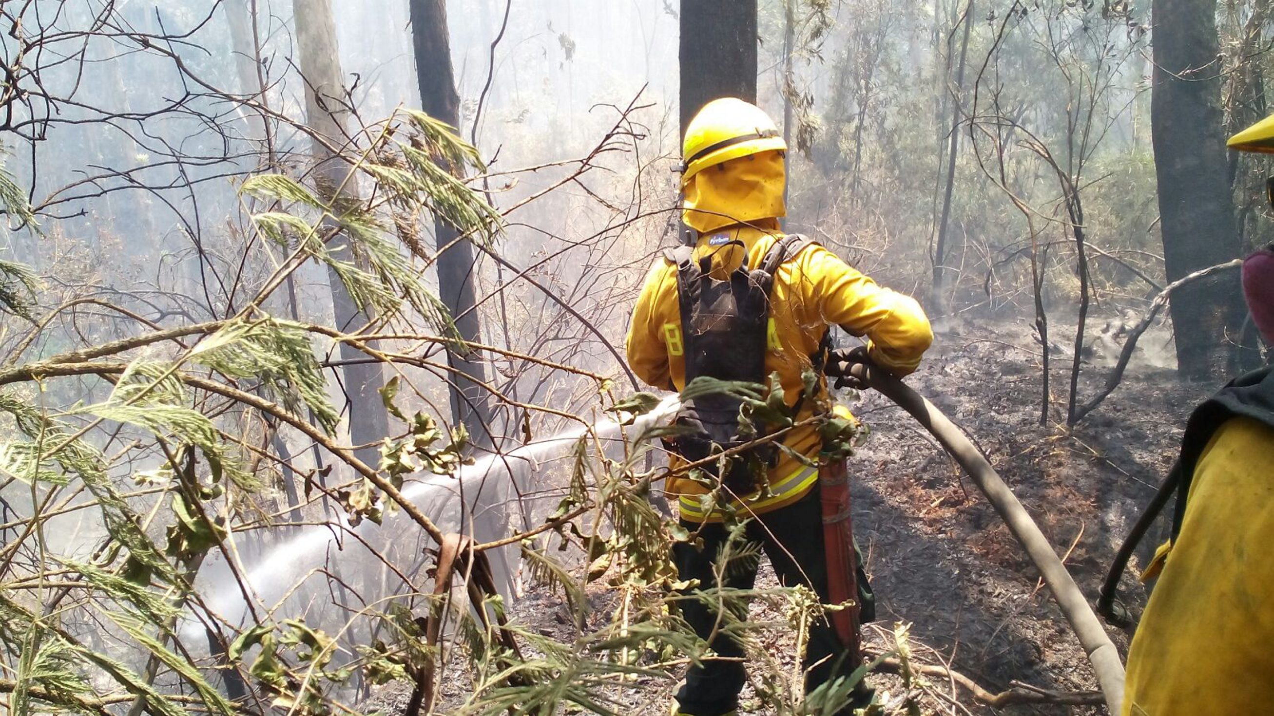 Yucatán acumula 21 incendios en la temporada 2016