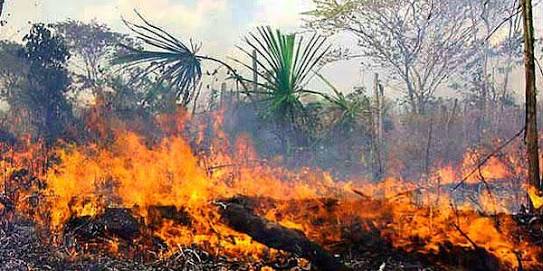 Exhortan a la población a reportar incendios al 116