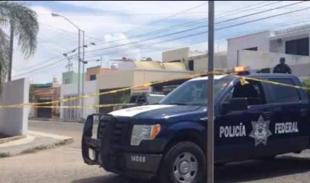 Cosechaban su propia droga en una casa de Francisco de Montejo