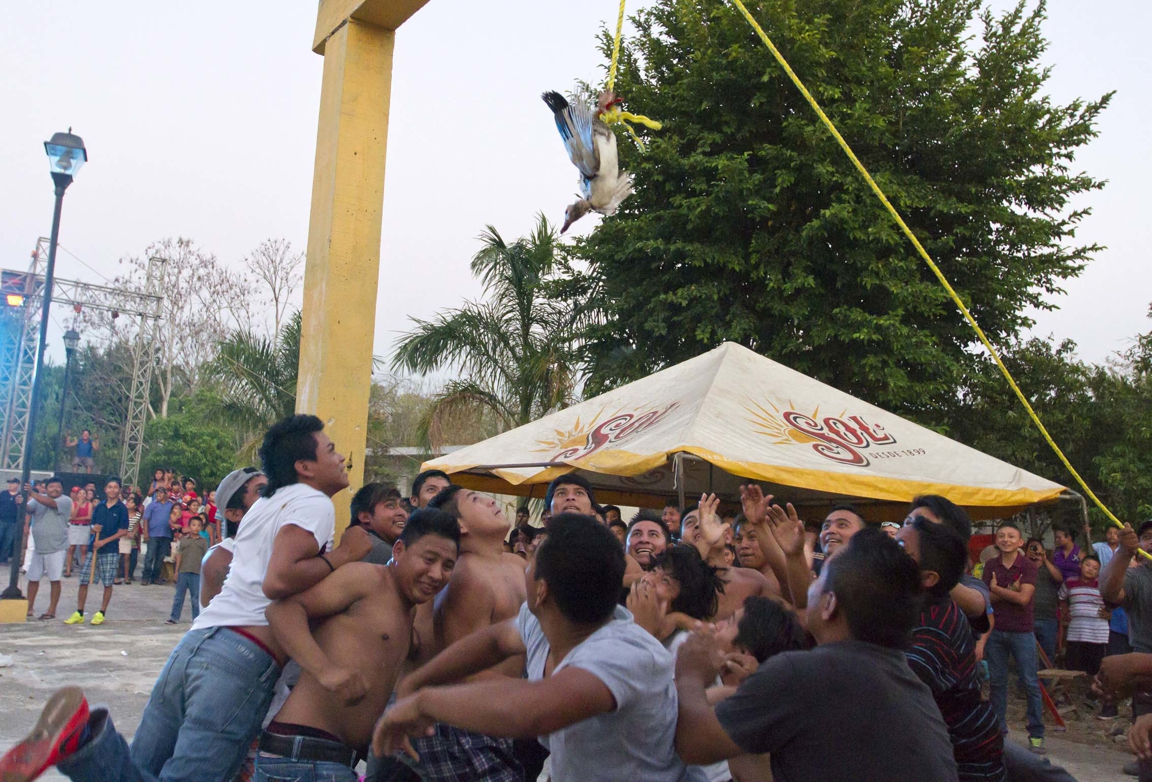 Suspenden para siempre sanguinaria tradición del Kots Kaal Pato