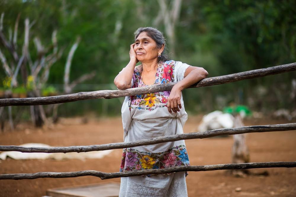 Sin verguenza, diputado se cuelga de la ‘fama’ de la yucateca más pobre