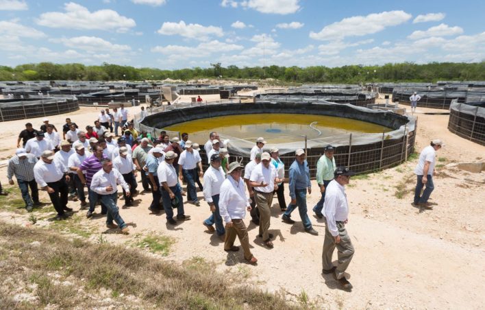 Crece la infraestructura turística de Yucatán