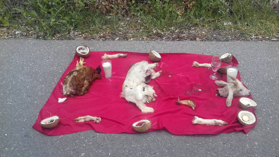 Retiran ‘ofrenda satánica’ en la carretera Mérida-Progreso