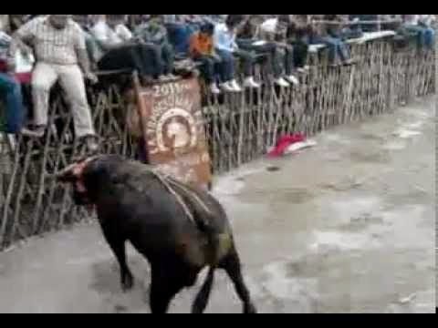 Toro rompe el tablado en la corrida de Chocholá: 5 heridos