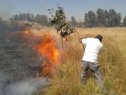 Reanudan quemas, con llamado a hacer uso responsable del fuego