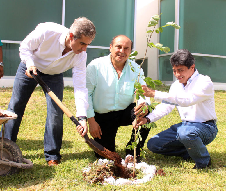 Inician acciones de reforestación de la FGE