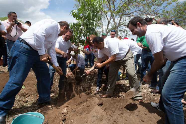 En el Día Mundial del Medio Ambiente, reforestan el Paseo Verde