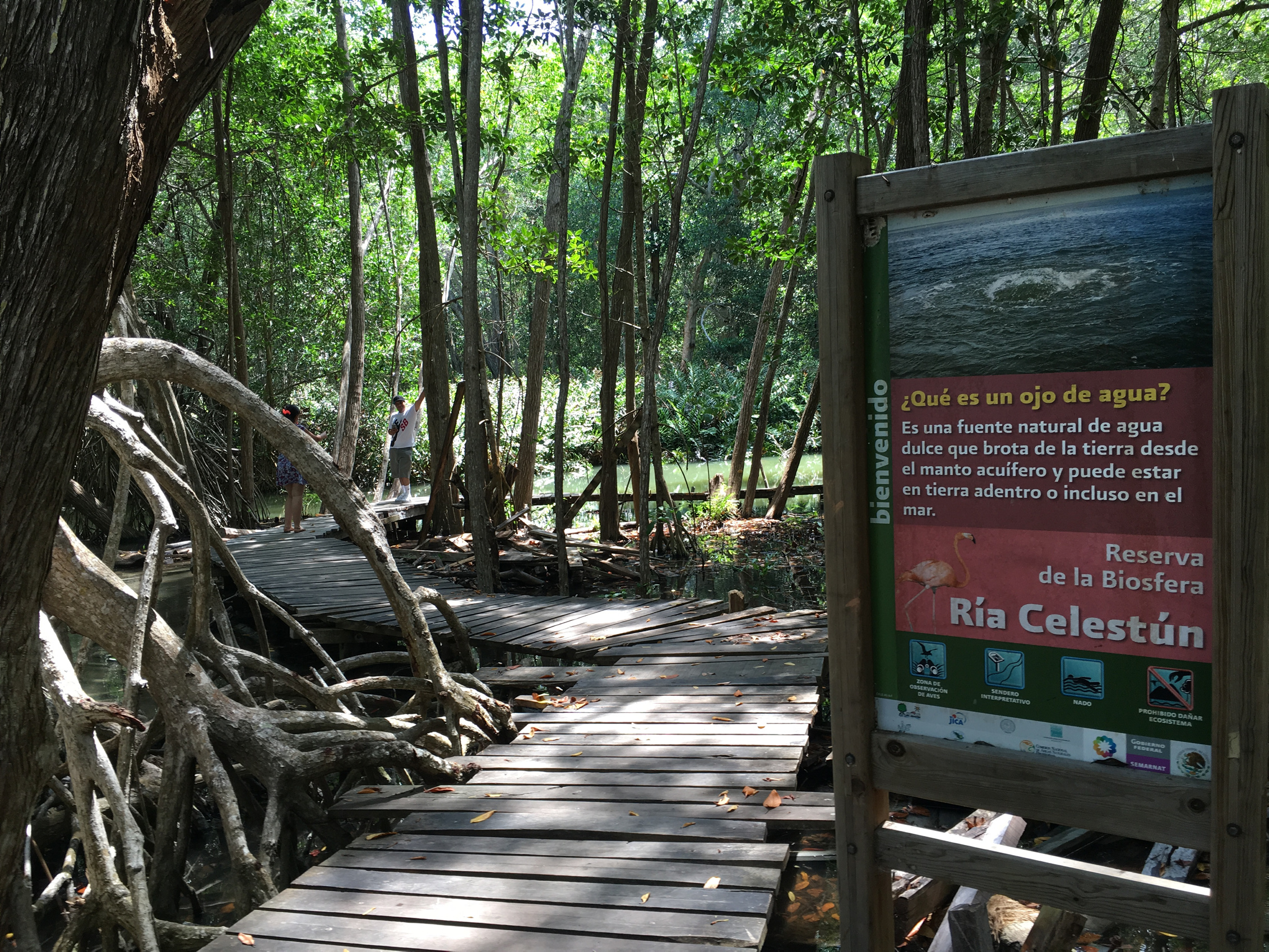 Celestún, casi el paraíso de no ser por los humanos