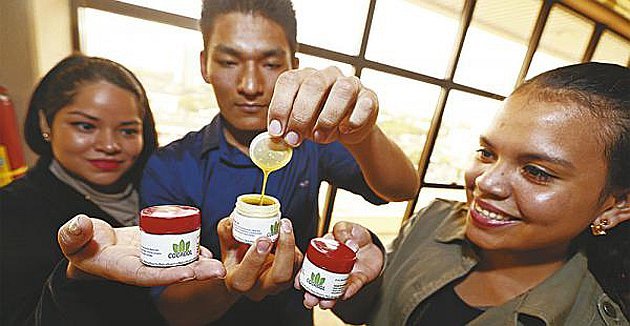 Estudiantes crean gel de coca para dolores del chikungunya