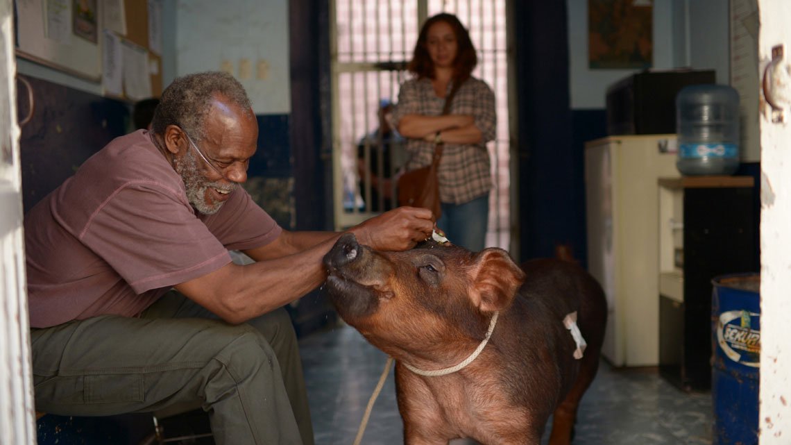 Hoy, estreno nacional de ‘Mr.Pig’ de Diego Luna