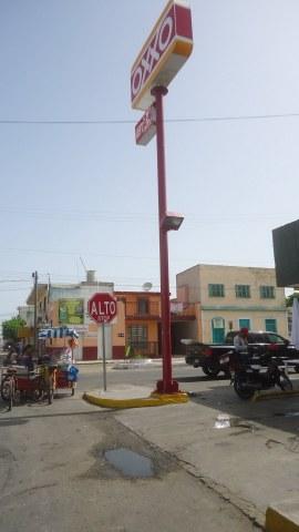 Abejas hacen de un Oxxo de Yucatán su tienda de la esquina