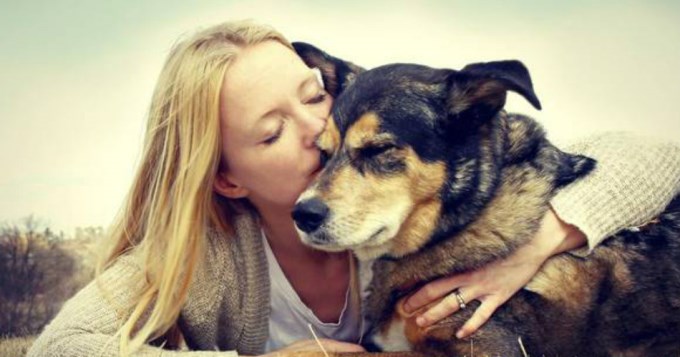 La lame su perro y casi se muere: le entró una bacteria