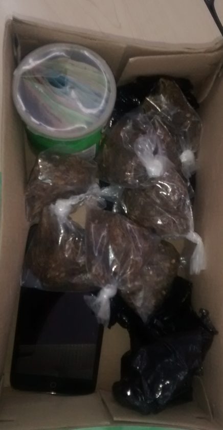 Decomisan marihuana para clientes de bares del norte de Mérida