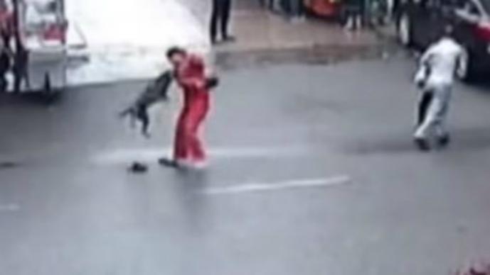 Video: Perro se desquita por todos los canes que han comido en China